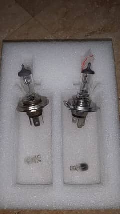 Car bulb Honda city