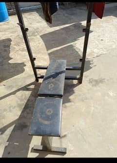 Straight Incline Decline Bench with Plates 0