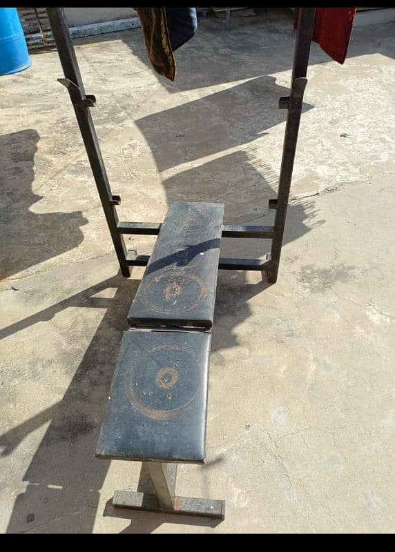 Straight Incline Decline Bench with Plates 0