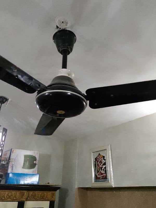 FAN FOR SALE 1