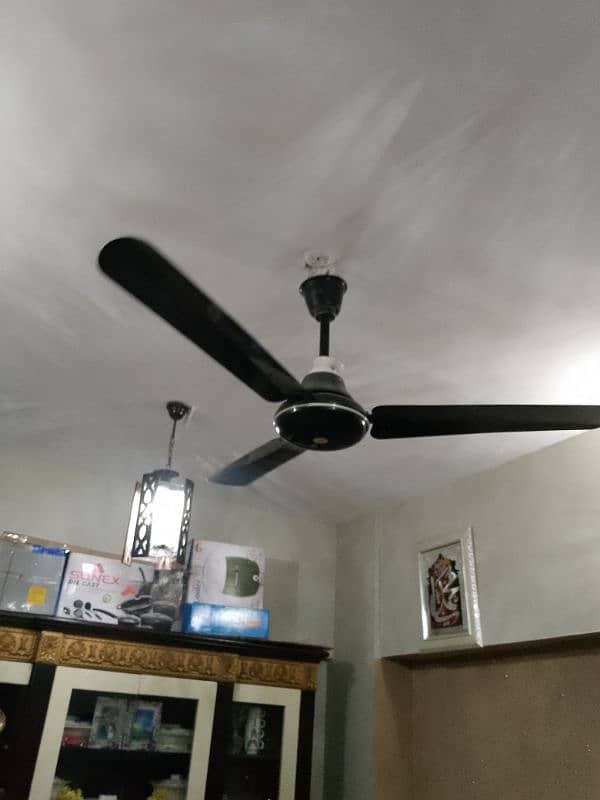 FAN FOR SALE 2