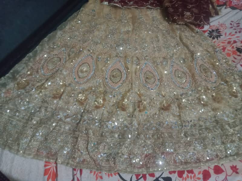 Lehnga dress for women 2