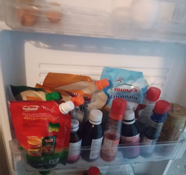 Fridge 1