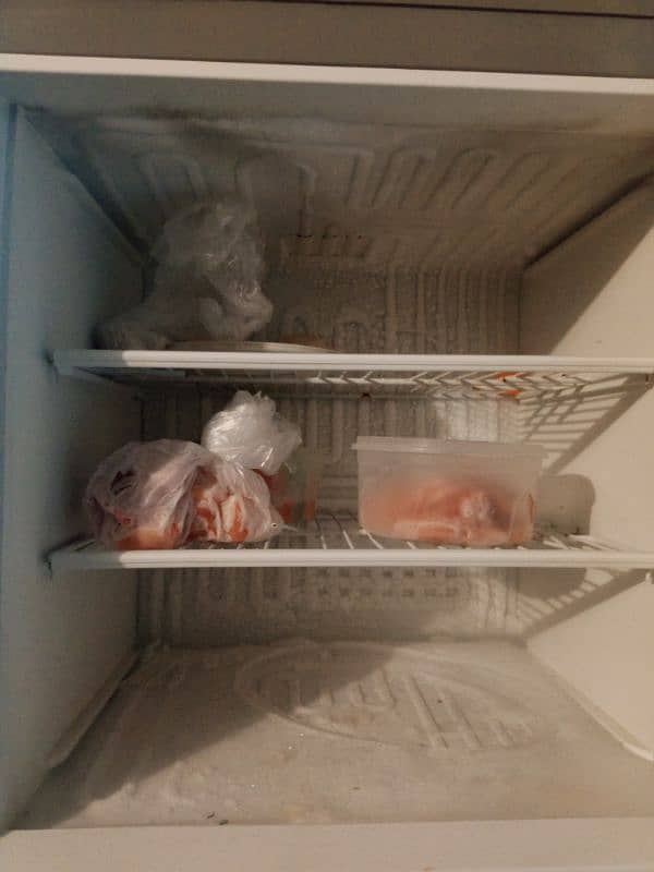 Fridge 3