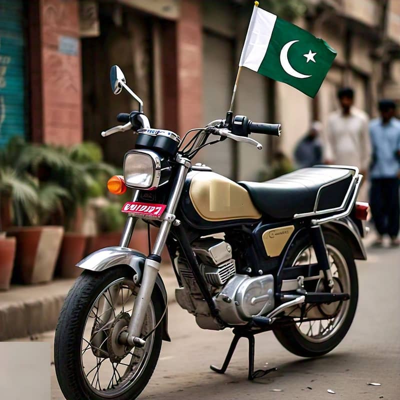 Pakistan flag + rod for bike , USA Flag 5