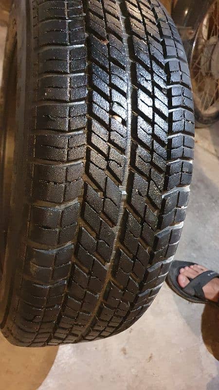 rim 14 tyre 185.65. 14 (new condition) 12