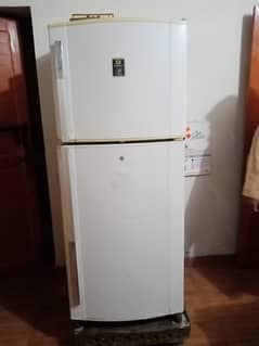 dwalance fridge for sale urgent