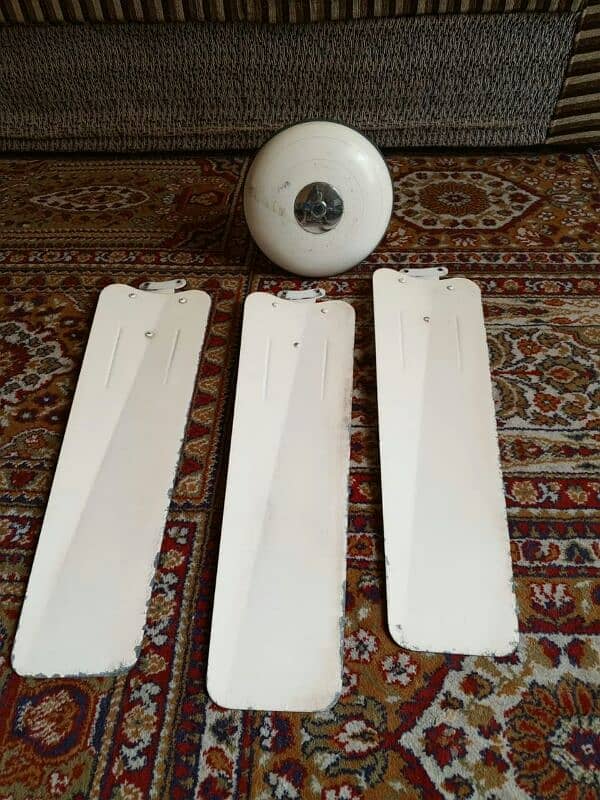 Pak fan ceiling fan available for sale 0