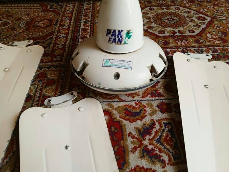 Pak fan ceiling fan available for sale 4