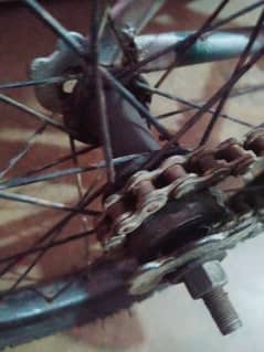 Cycle Single frame 0