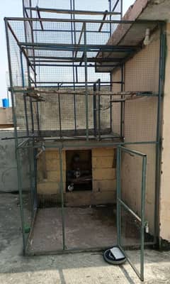 pigeon cage,bird cage( 03015208876) exchange possible