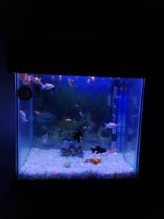 aquarium brand new