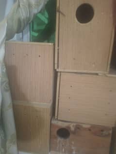 Love birds Breeding boxes