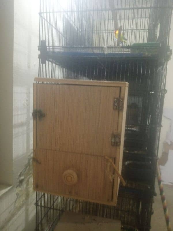 Love birds Breeding boxes 2