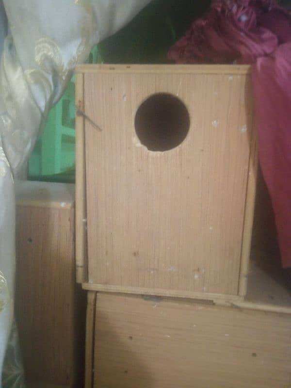 Love birds Breeding boxes 3