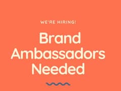 Hiring as a Brand Ambassador