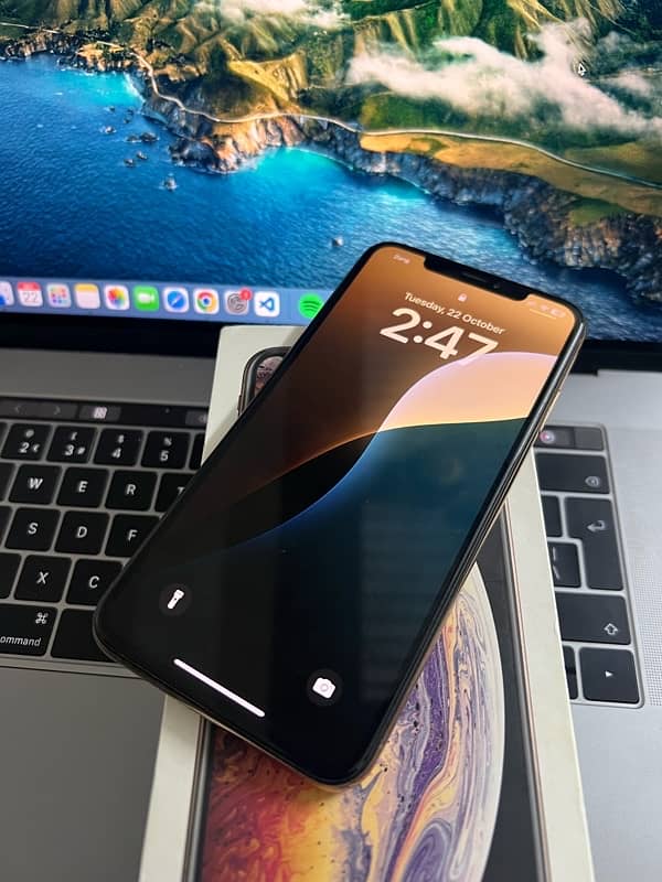 Xs max physical Dual approve  64gb GX panel 0