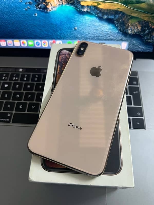 Xs max physical Dual approve  64gb GX panel 1