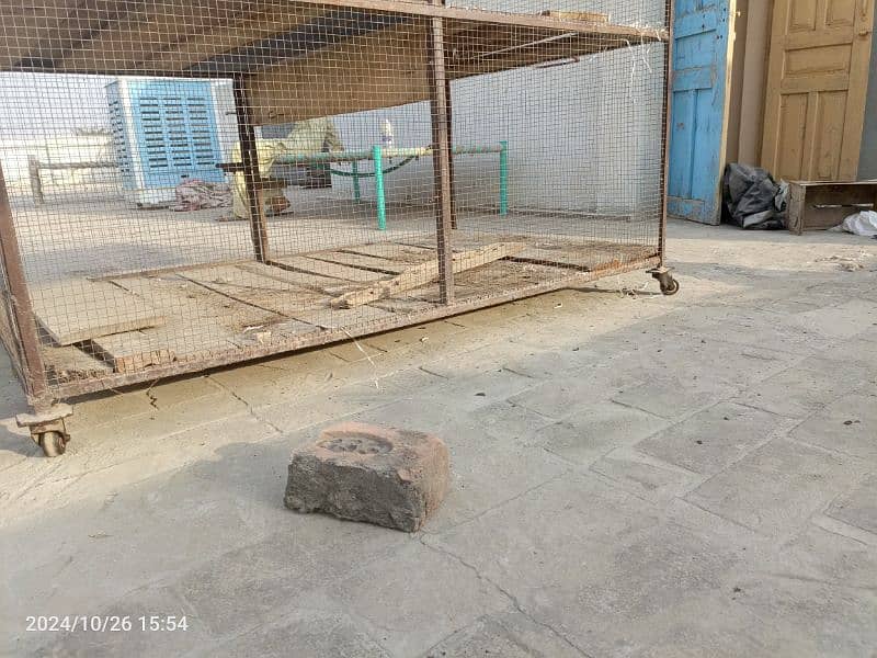 Big Size cage for sale 2