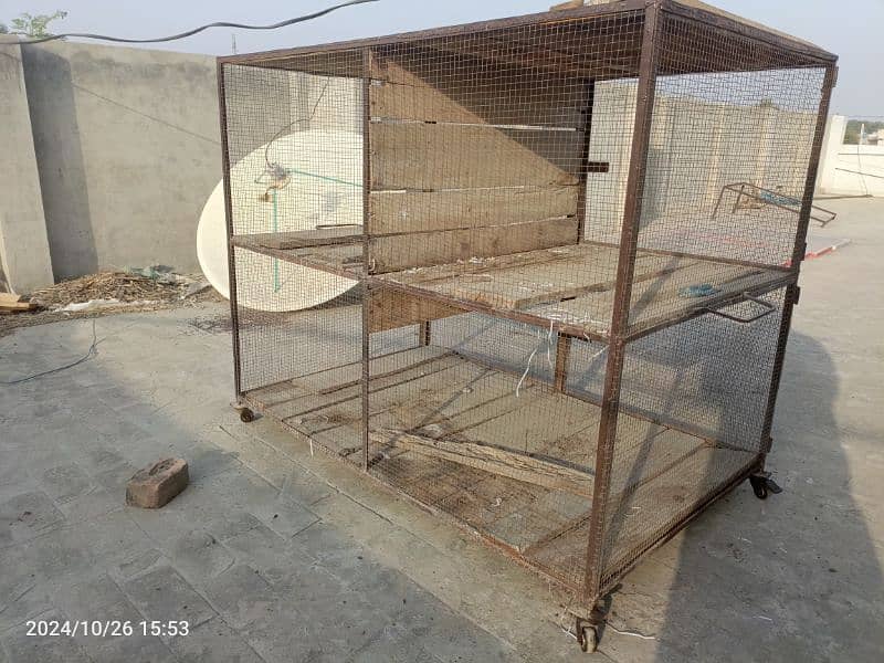 Big Size cage for sale 5