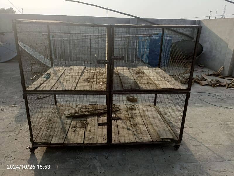 Big Size cage for sale 7