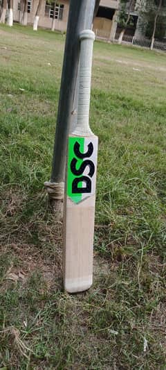 DSC pure English Willow hard ball cricket bat