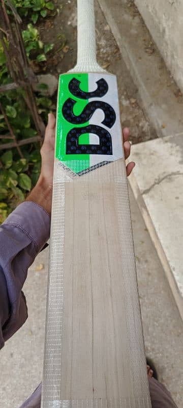 DSC pure English Willow hard ball cricket bat 1