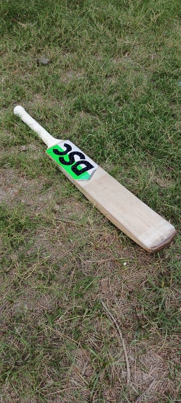 DSC pure English Willow hard ball cricket bat 2