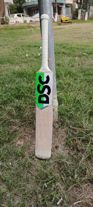 DSC pure English Willow hard ball cricket bat 3