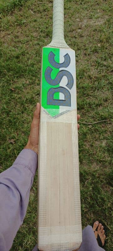 DSC pure English Willow hard ball cricket bat 4