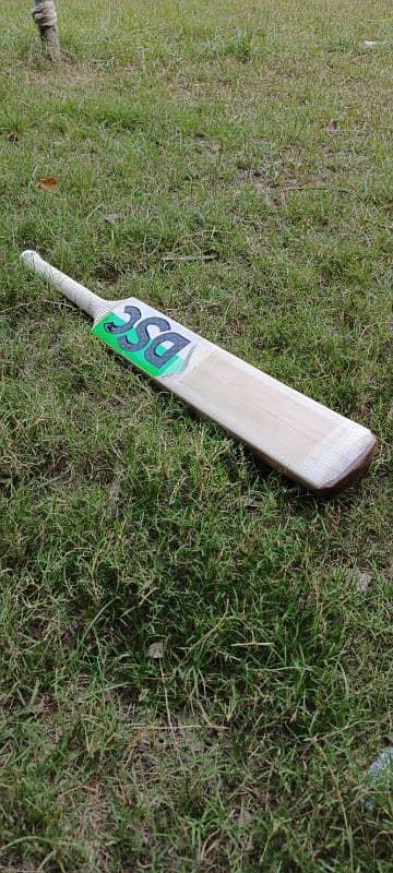 DSC pure English Willow hard ball cricket bat 7