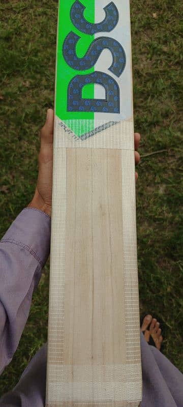 DSC pure English Willow hard ball cricket bat 9