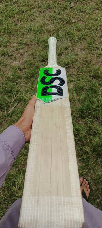 DSC pure English Willow hard ball cricket bat 10