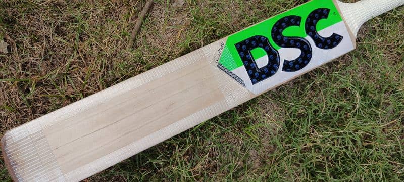 DSC pure English Willow hard ball cricket bat 11