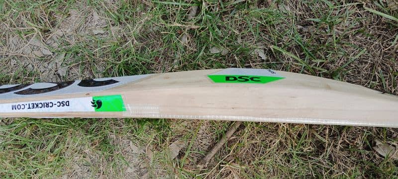 DSC pure English Willow hard ball cricket bat 12