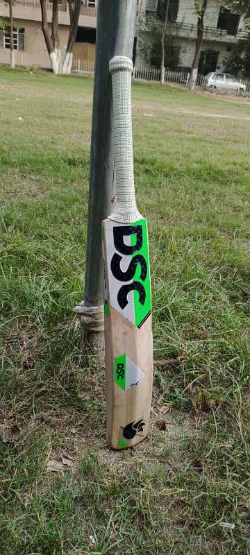 DSC pure English Willow hard ball cricket bat 13