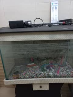 Fish Aquarium Urgent Sale