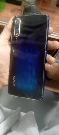 vivo