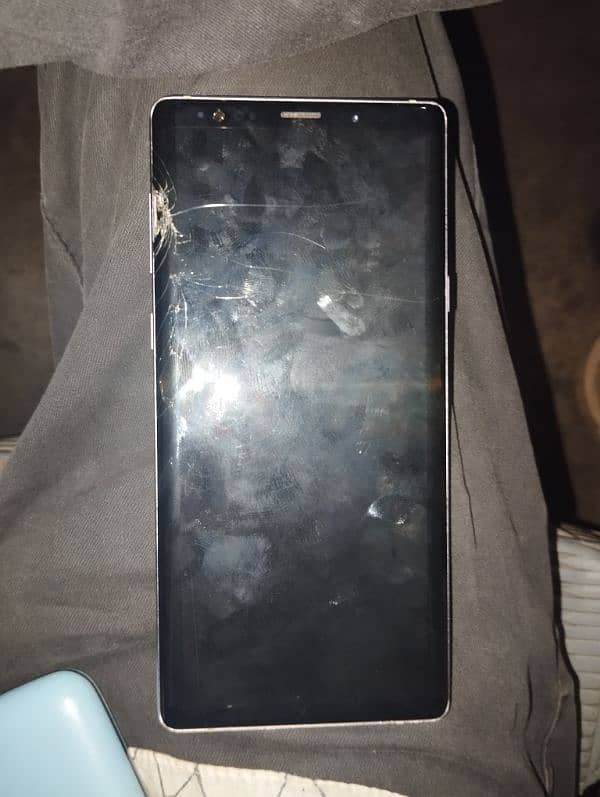 Samsung note 9 just penal demage 5