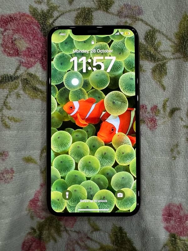 IPhone 11 Pro Max 256 gb Pta approved 10/10 9