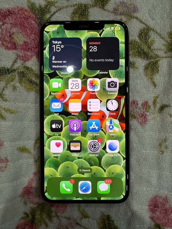 IPhone 11 Pro Max 256 gb Pta approved 10/10 10