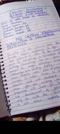 Hand Writing Assignment Work