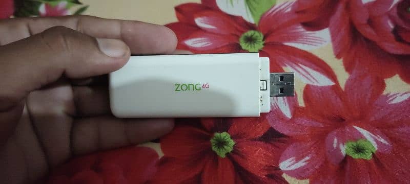 Zong Wingle 1