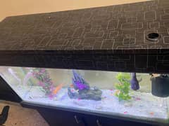 3x1 feet aquarium 0