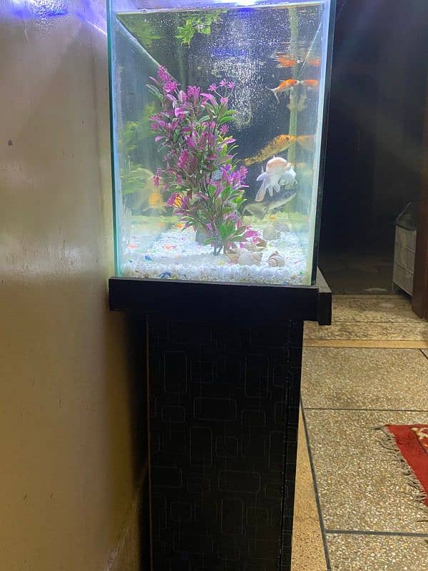 3x1 feet aquarium 1