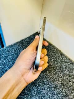 Iphone 16 Pro Max LLA 256 GB