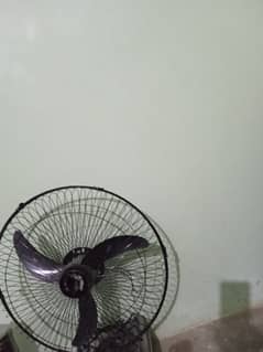 fan