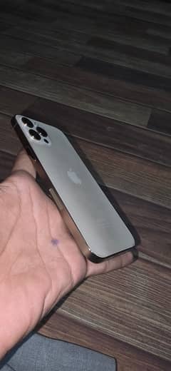 iphone 12 pro max 256gb