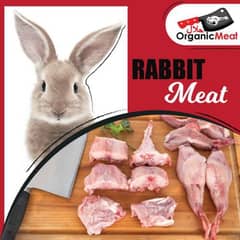 Fresh Rabbit Meat for Sale - High-Quality and Hygienic