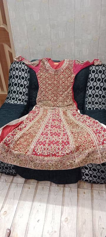 Bridal fish lehnga 2